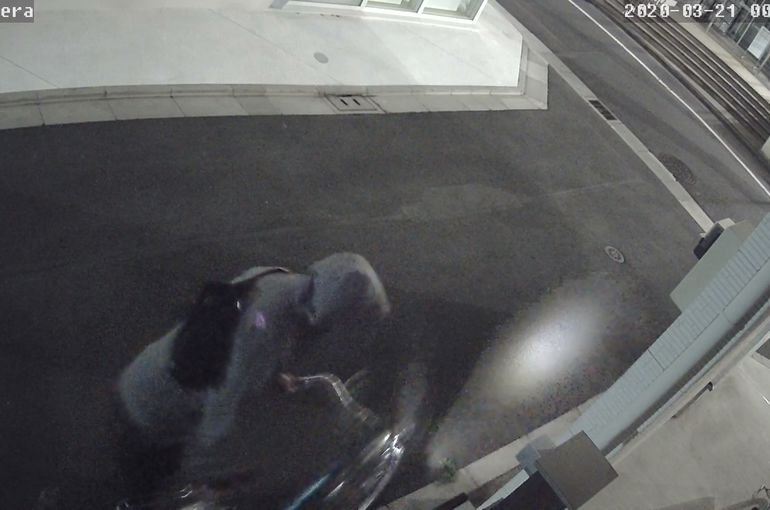 ＬＡＮ工事　防犯カメラ