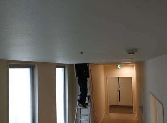 lan cat6a cat6 cat5e 10g